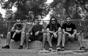 Audiobreed